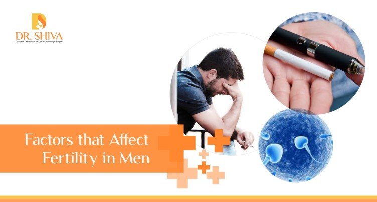 Factors Affecting Male Fertility