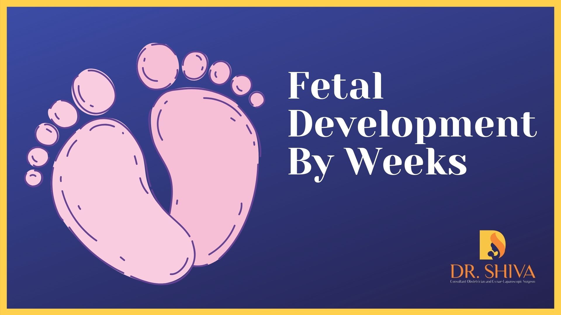 Fetal development week by week