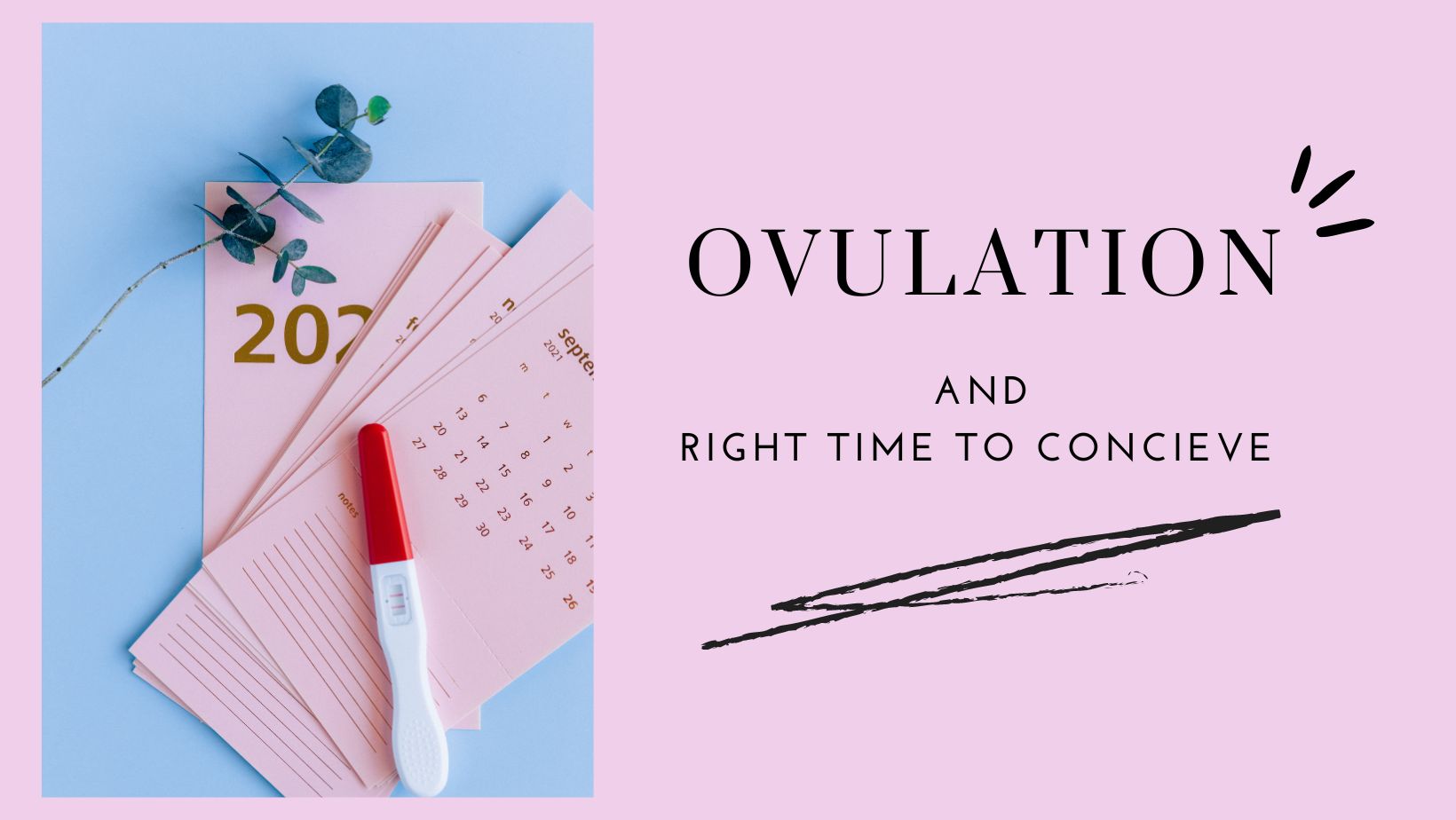 Ovulation and the right time to conceive