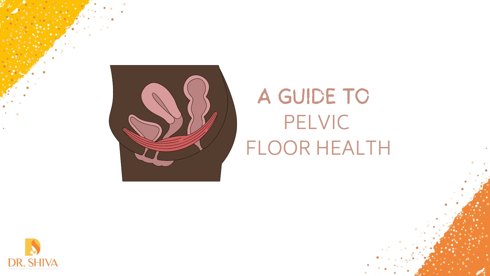 Guide to pelvic floor health
